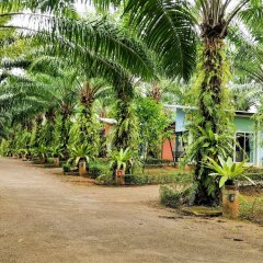 Отель OYO 573 Proundpat Resort Таиланд, Краби - отзывы, цены и фото номеров - забронировать отель OYO 573 Proundpat Resort онлайн фото 8