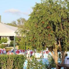 Отель Irmak Garden