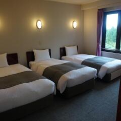 Hotel Abest Happo Aldea Хакуба комната для гостей