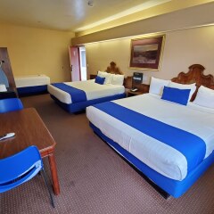 Отель Colony Inn США, Лос-Анджелес - отзывы, цены и фото номеров - забронировать отель Colony Inn онлайн удобства в номере фото 2