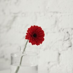Отель Maison Nationale City Flats & Suites Бельгия, Антверпен - отзывы, цены и фото номеров - забронировать отель Maison Nationale City Flats & Suites онлайн помещение для мероприятий