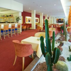 Отель Spa Resort Sanssouci Карловы Вары гостиничный бар