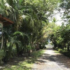 Отель Coconut Bungalow фото 2