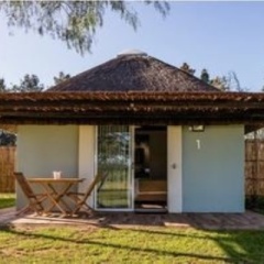 Отель Addo Wildlife Южная Африка, Аддо - отзывы, цены и фото номеров - забронировать отель Addo Wildlife онлайн фото 3