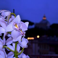 Отель Notti al Vaticano Deluxe St.Peter's Accommodation пляж