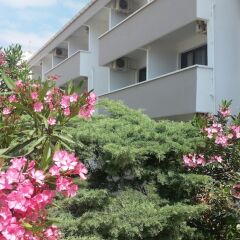 Etap Altinel Canakkale Турция, Гузеляли - отзывы, цены и фото номеров - забронировать отель Etap Altinel Canakkale онлайн фото 5
