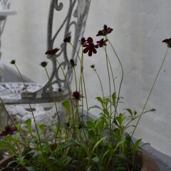 Отель Vibes Bed & Breakfast Дания, Орхус - отзывы, цены и фото номеров - забронировать отель Vibes Bed & Breakfast онлайн фото 34