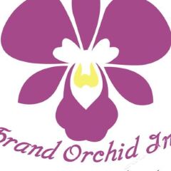 Отель Grand Orchid Inn Патонг с домашними животными