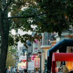 Отель Omni Mont-Royal Канада, Монреаль - отзывы, цены и фото номеров - забронировать отель Omni Mont-Royal онлайн фото 5