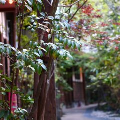 Отель Yamakawa Onsen Ryokan Yotsuba Минамиогуни фото 5