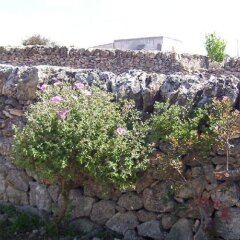 Отель Masseria La Gravina Кастелланета фото 8