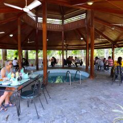 Отель Safari Adventure Lodge Непал, Саураха - отзывы, цены и фото номеров - забронировать отель Safari Adventure Lodge онлайн питание фото 2