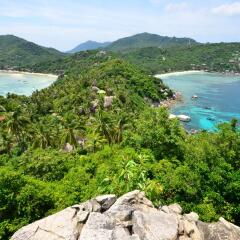 Отель Coral Paradise пляж фото 3