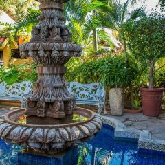 Отель Tropicana Inn Мексика, Сан-Хосе-дель-Кабо - отзывы, цены и фото номеров - забронировать отель Tropicana Inn онлайн фото 6