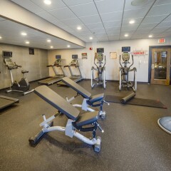 Отель Holiday Inn Niagara Falls Scenic Downtown США, Ниагара-Фолс - отзывы, цены и фото номеров - забронировать отель Holiday Inn Niagara Falls Scenic Downtown онлайн фитнесс-зал фото 2