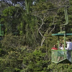 Отель Gamboa Rainforest Resort детские мероприятия