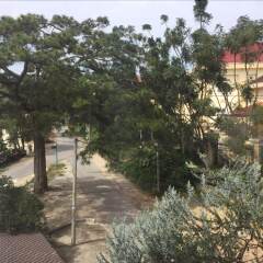 Отель Hai Cay Thong Homestay - Hostel Вьетнам, Далат - отзывы, цены и фото номеров - забронировать отель Hai Cay Thong Homestay - Hostel онлайн фото 2