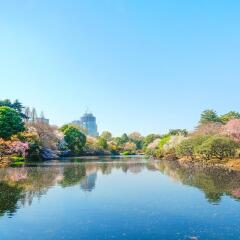 Отель Henn na Hotel Tokyo Akasaka Япония, Токио - отзывы, цены и фото номеров - забронировать отель Henn na Hotel Tokyo Akasaka онлайн фото 4