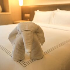 Skytel Hotel Chengdu комната для гостей фото 3