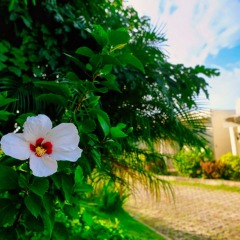 Отель Soffia Boracay Филиппины, остров Боракай - отзывы, цены и фото номеров - забронировать отель Soffia Boracay онлайн фото 6