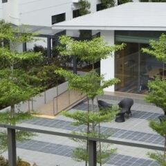 Отель Holiday Inn Express Singapore Orchard Road Сингапур фото 2