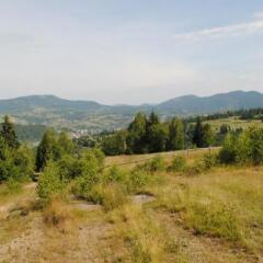 Гостиница Усадьба Рокса фото 18