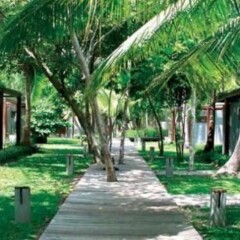 Отель Cocotero Resort The Hidden Village by Costa Lanta Таиланд, Ланта - отзывы, цены и фото номеров - забронировать отель Cocotero Resort The Hidden Village by Costa Lanta онлайн фото 9