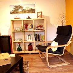 Отель SPH - Sintra Pine House развлечения