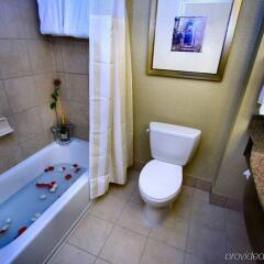 Отель Hilton Garden Inn Bethesda США, Бетесда - отзывы, цены и фото номеров - забронировать отель Hilton Garden Inn Bethesda онлайн ванная фото 2