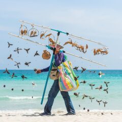Отель Chaba Samui Resort с домашними животными