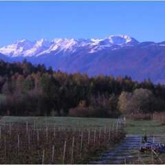 Отель Agritur Maso San Bartolomeo Монклассико фото 2