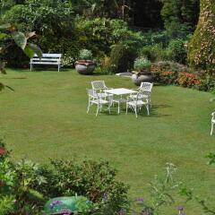 Отель Royal Cocoon - Nuwara Eliya фото 15