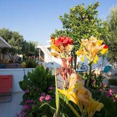 Urla Surf House Турция, Урла - отзывы, цены и фото номеров - забронировать отель Urla Surf House онлайн бассейн фото 2