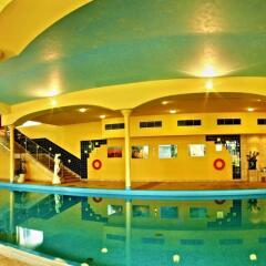TOP Hotel Praha бассейн фото 3