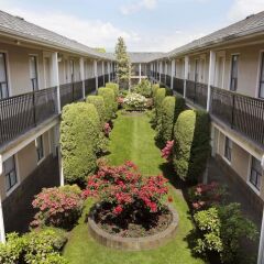 Отель Days Inn - Vancouver Metro Канада, Ванкувер - отзывы, цены и фото номеров - забронировать отель Days Inn - Vancouver Metro онлайн фото 3