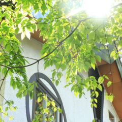 Отель Pension ULLR Хакуба