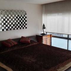 Отель Sophisticated Penthouse Jacuzzi &terrace Мехико фото 15