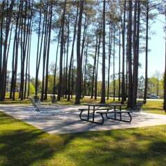 River Oaks 27-B Apartment in Myrtle Beach, United States of America from 332$, photos, reviews - zenhotels.com photo 8