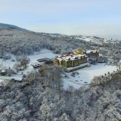 Gazelle Resort & Spa Турция, Болу - отзывы, цены и фото номеров - забронировать отель Gazelle Resort & Spa онлайн фото 4