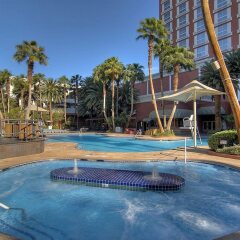 Treasure Island Hotel & Casino детские мероприятия