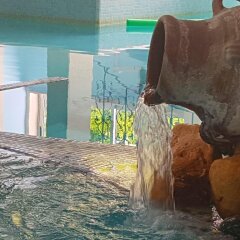 Отель Terme Villa Piave Италия, Абано-Терме - отзывы, цены и фото номеров - забронировать отель Terme Villa Piave онлайн с домашними животными