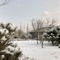 Отель Holiday Inn Beijing Shijingshan Parkview Пекин