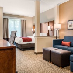 Отель Comfort Suites Columbus Airport США, Колумбус - отзывы, цены и фото номеров - забронировать отель Comfort Suites Columbus Airport онлайн комната для гостей фото 3
