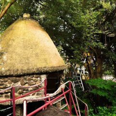 Отель Dao Anh Khanh Treehouse Ханой фото 6