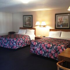Отель Moonlite Motel США, Ниагара-Фолс - отзывы, цены и фото номеров - забронировать отель Moonlite Motel онлайн удобства в номере фото 2