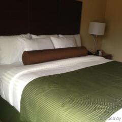Отель Cobblestone Inn & Suites -- Hartington, Ne Хартингтон комната для гостей фото 3