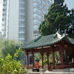 Отель Grand Millennium HongQiao Shanghai Китай, Шанхай - отзывы, цены и фото номеров - забронировать отель Grand Millennium HongQiao Shanghai онлайн фото 5