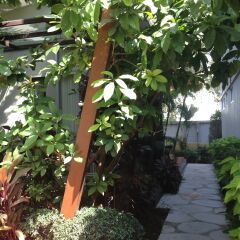 Phu NaNa Boutique Hotel фото 4