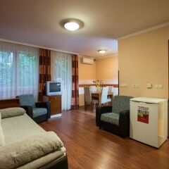 Отель City Hotel Budapest - Aparthotel Венгрия, Будапешт - 10 отзывов об отеле, цены и фото номеров - забронировать отель City Hotel Budapest - Aparthotel онлайн удобства в номере