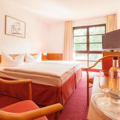 Отель Kim Hotel Im Park Германия, Дрезден - отзывы, цены и фото номеров - забронировать отель Kim Hotel Im Park онлайн комната для гостей фото 4